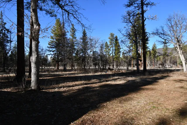 $266,500 | 45450 Big Lake Road, McArthur, CA 96056