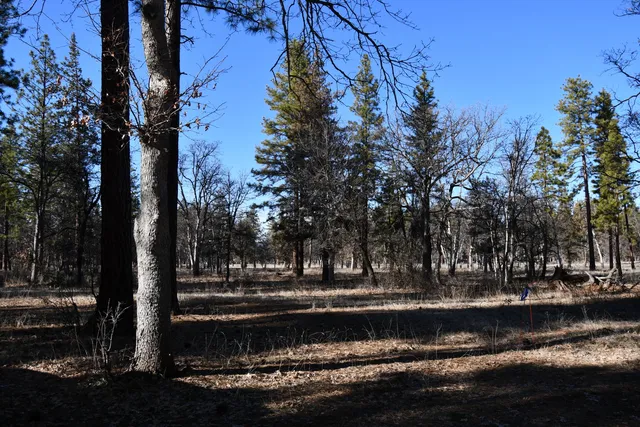 $266,500 | 45450 Big Lake Road, McArthur, CA 96056