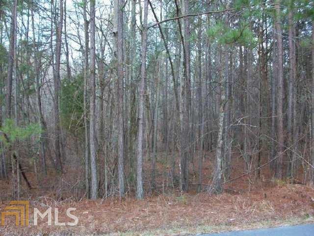 0 Bethlehem Road, Unit 13 Rockmart, GA 30153 - Photo 1 of 1