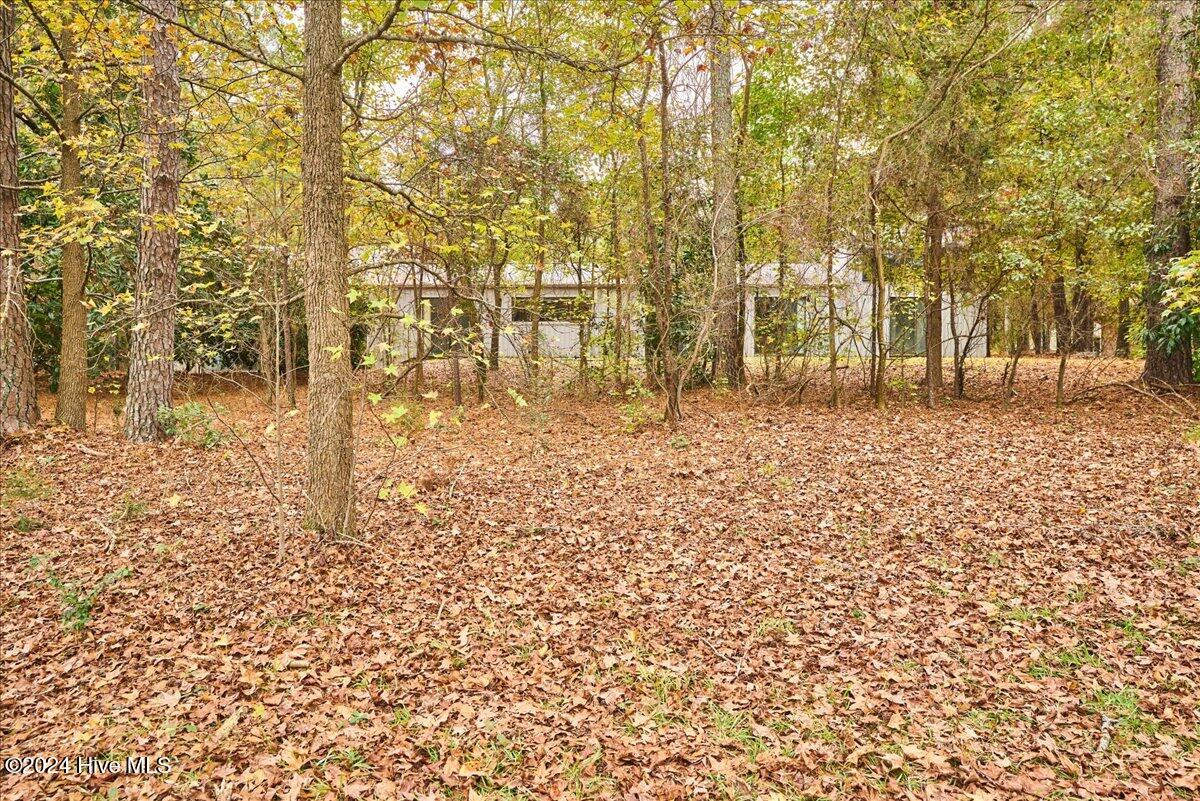 916 Rays Bridge Road Whispering Pines, NC 28327 - Photo 50 of 65 20-20_916 Rays Bridge Road, WP