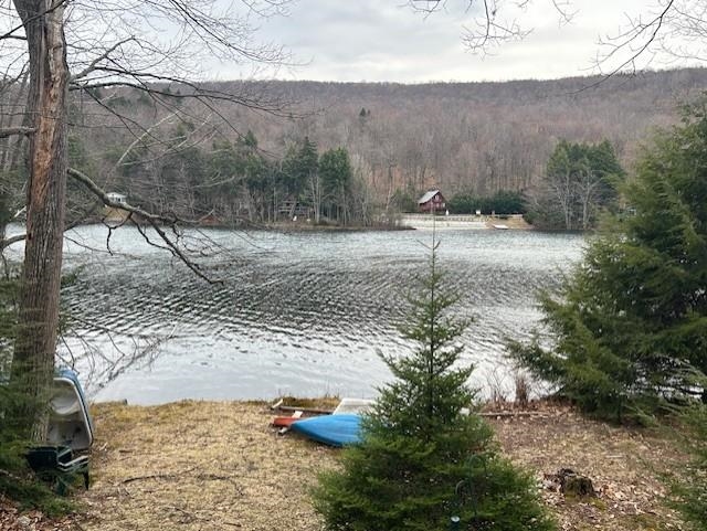 319 Chalk Pond Road Newbury, NH 03255 - Photo 15 of 15