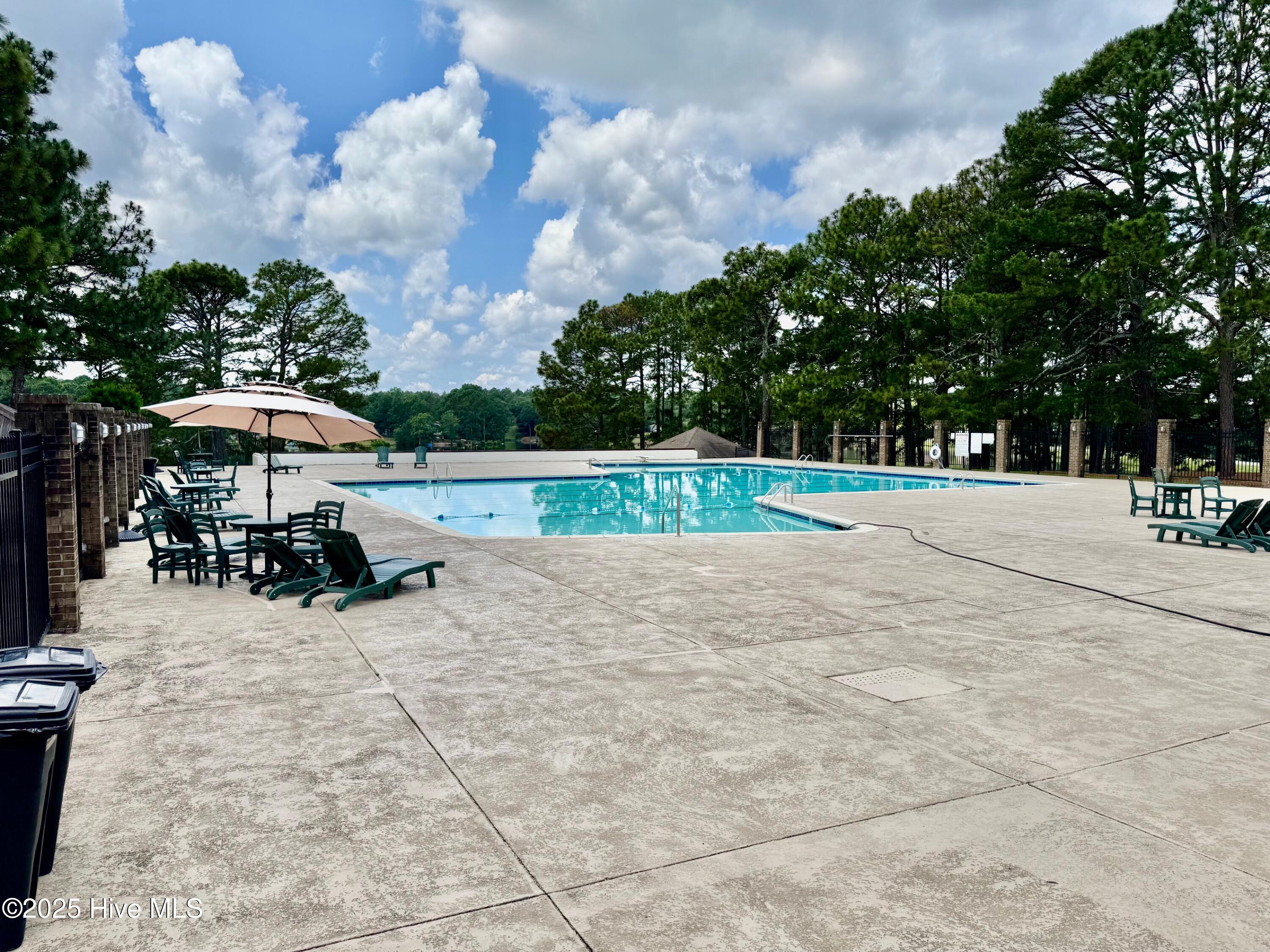 120 Shagbark Road West End, NC 27376 - Photo 73 of 76 SLN Swimming pool