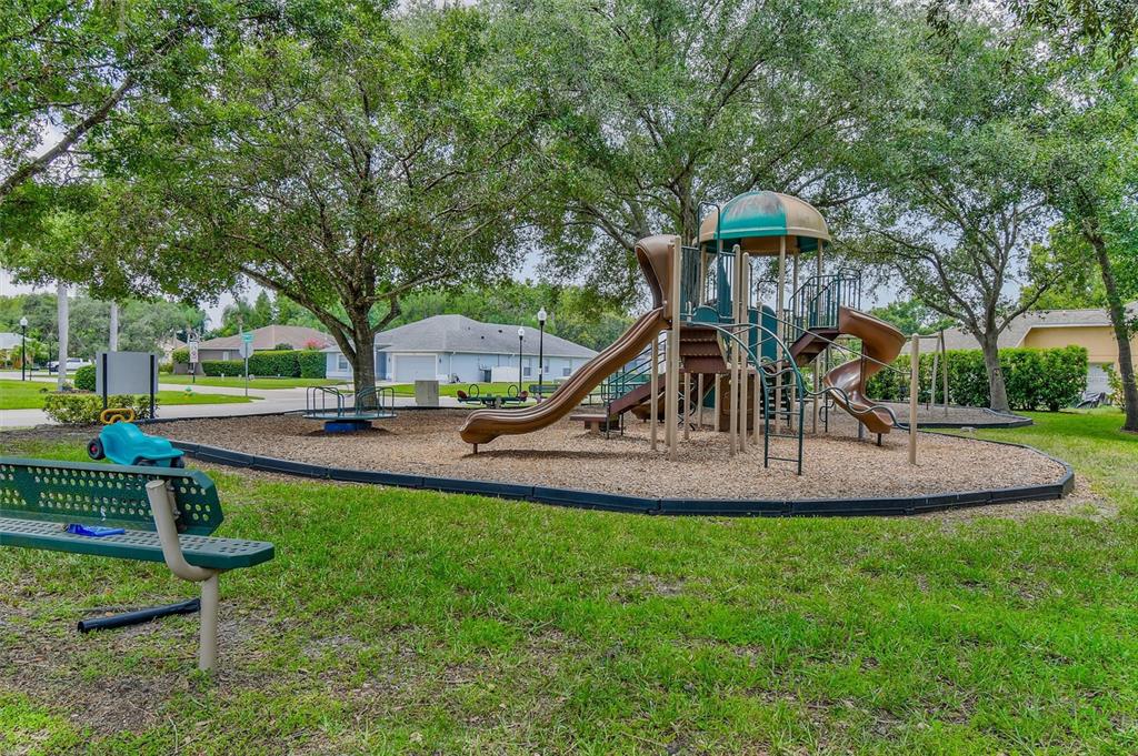 8706 Linebrook Drive Trinity, FL 34655 - Photo 40 of 41