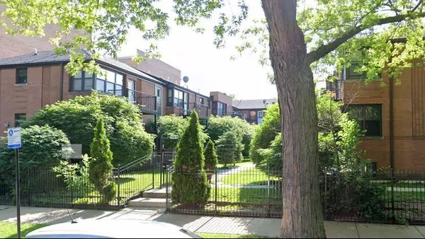 a view of a garden with a tree