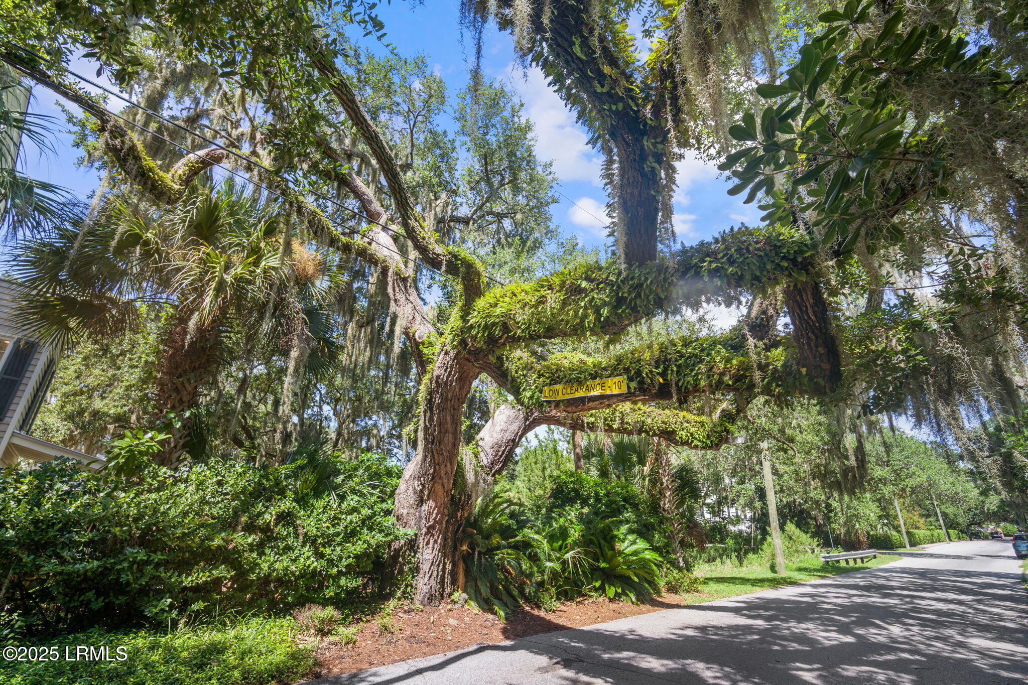 409 Federal Street Beaufort, SC 29902 - Photo 53 of 70 59-web-or-mls-DSC03312