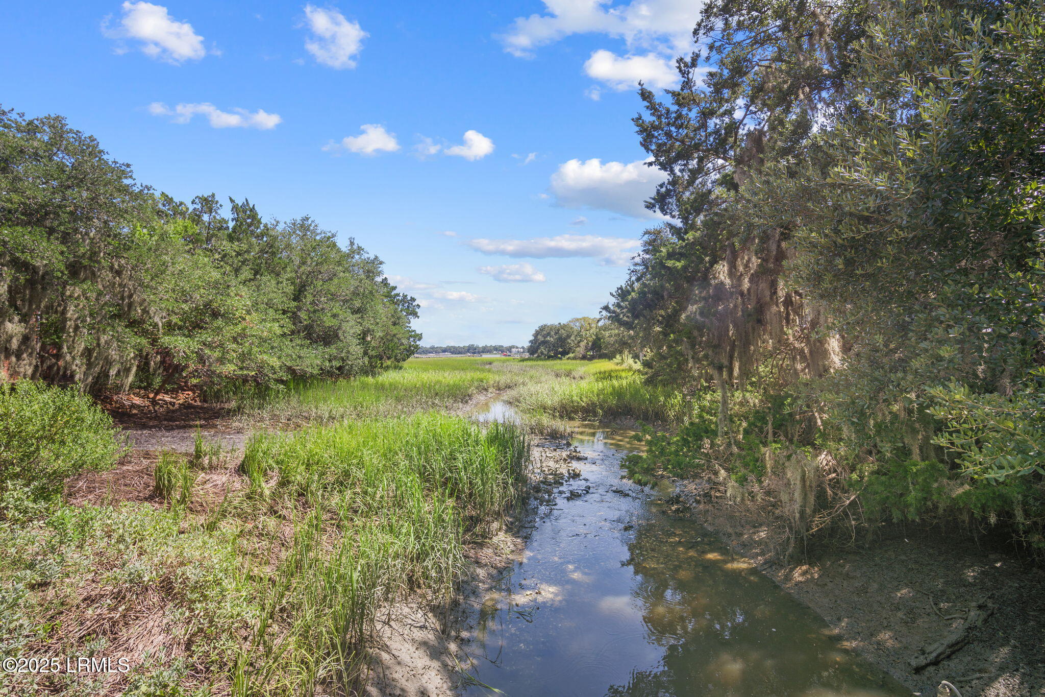 409 Federal Street Beaufort, SC 29902 - Photo 55 of 70 61-web-or-mls-DSC03323
