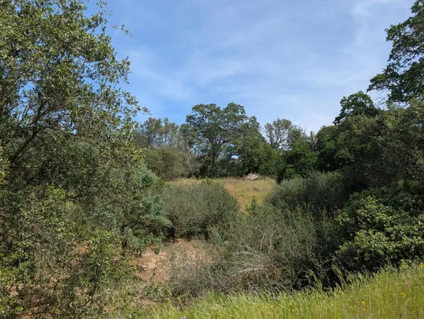 $44,000 | 660 Willowood Lane, Squaw Valley, CA 93675