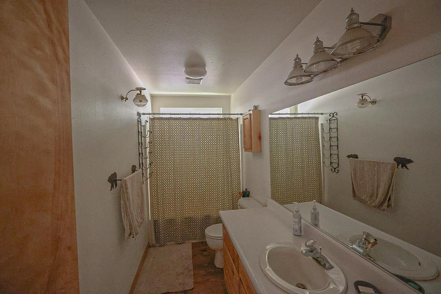 67922 Beasore Road Bass Lake, CA 93604 - Photo 21 of 39 a bathroom with a sink a toilet and shower