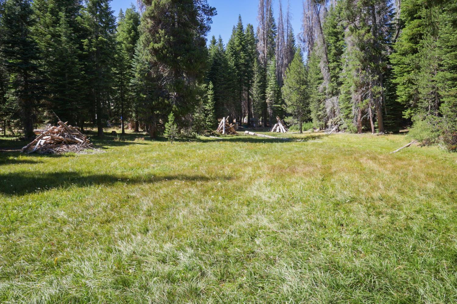 67922 Beasore Road Bass Lake, CA 93604 - Photo 30 of 39 a view of swimming pool and trees