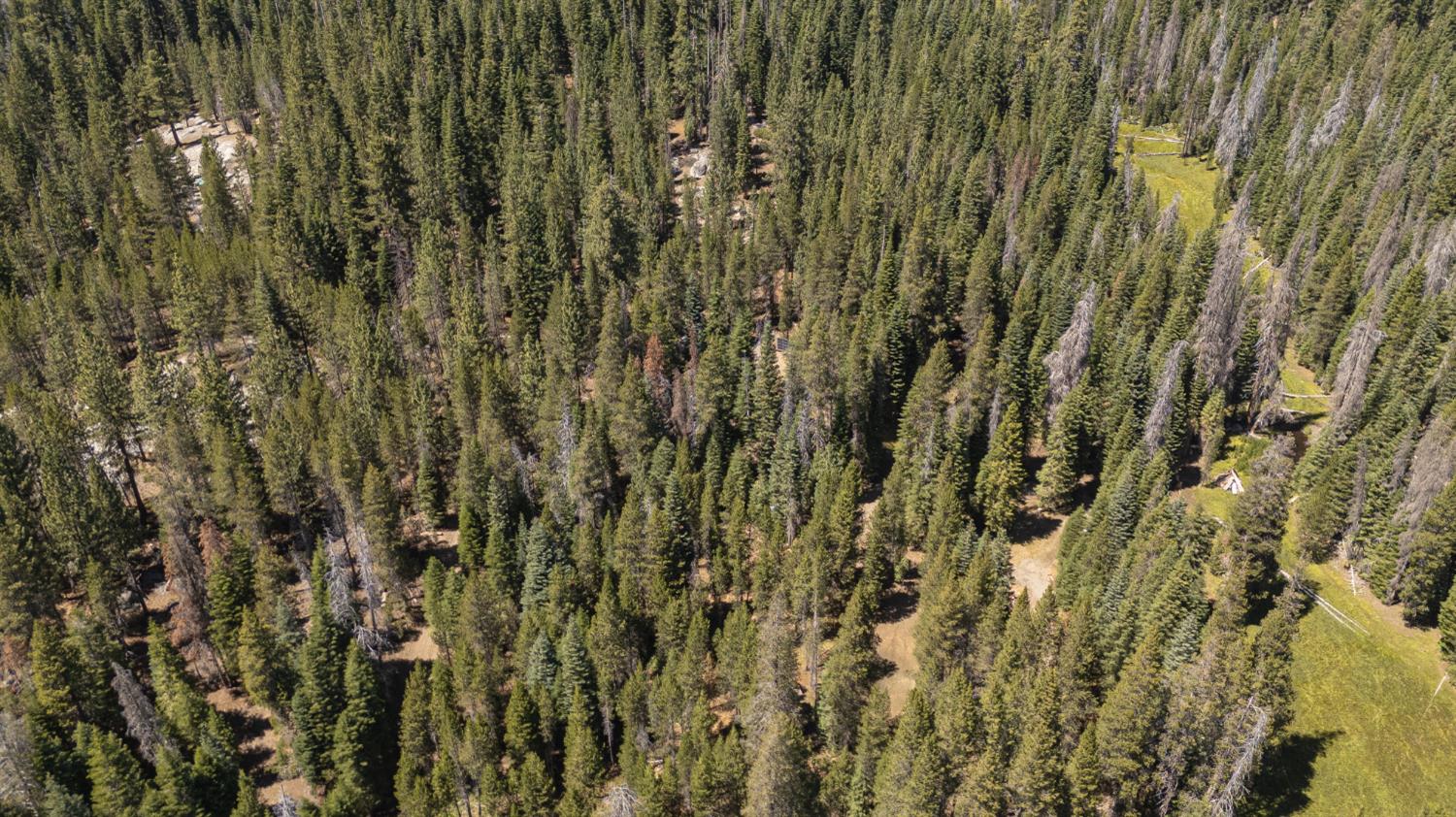 67922 Beasore Road Bass Lake, CA 93604 - Photo 35 of 39