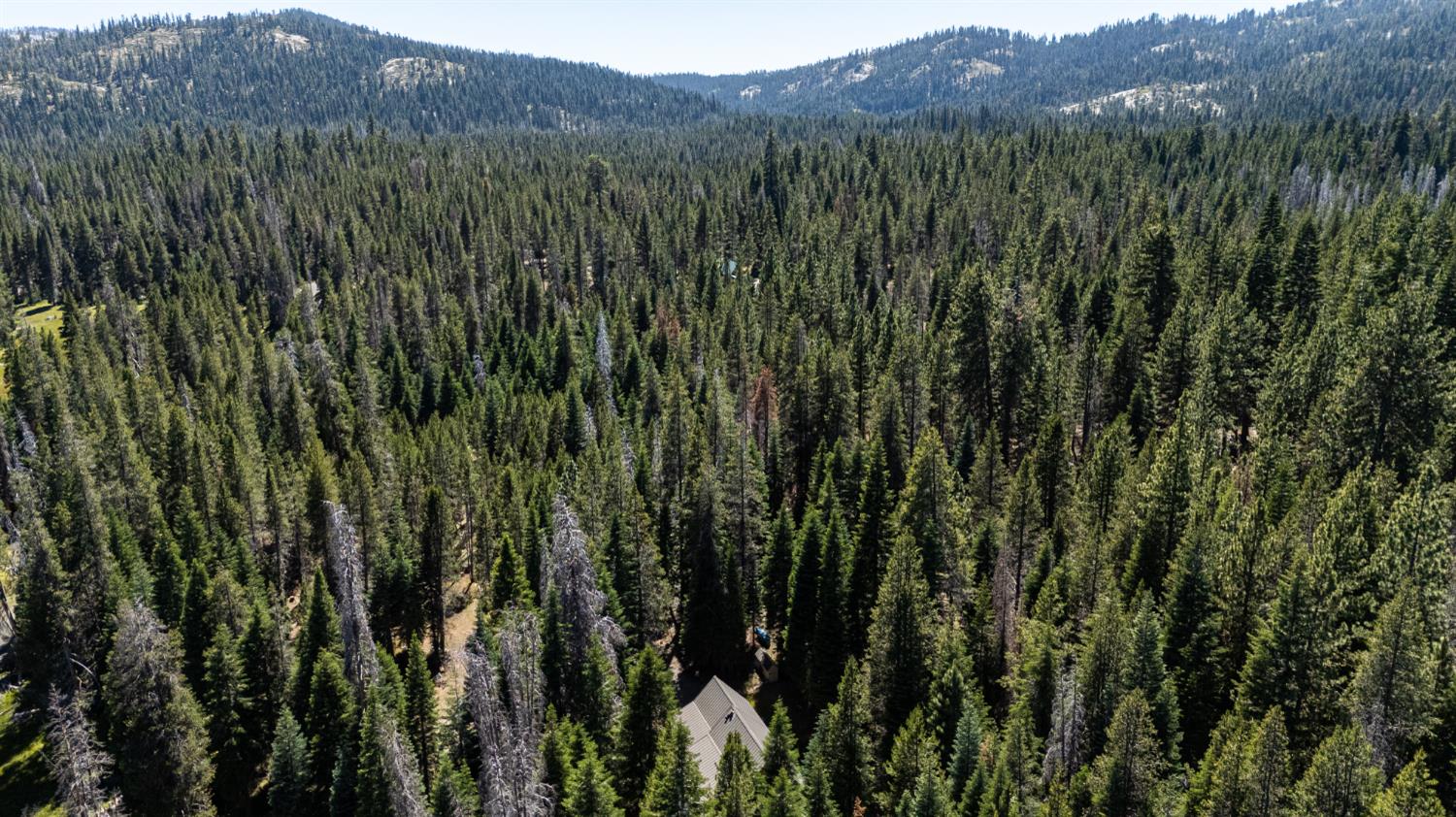 67922 Beasore Road Bass Lake, CA 93604 - Photo 37 of 39 a view of a lush green forest with a mountain