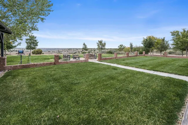 a view of a dry yard