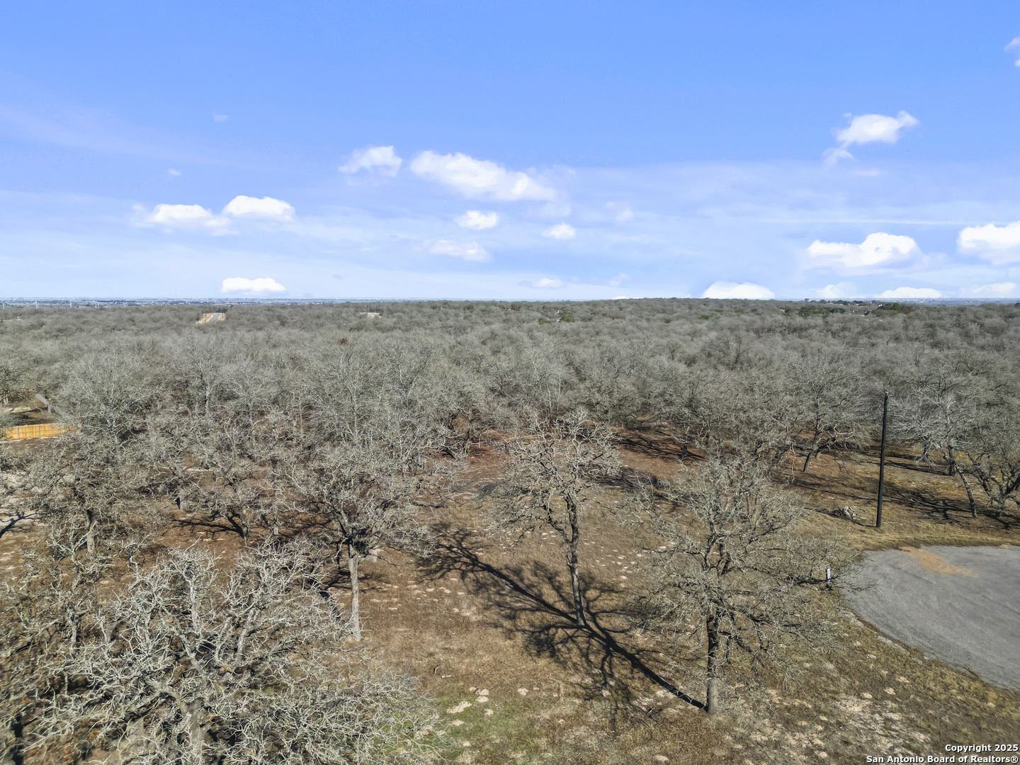 161 Hondo Ridge La Vernia, TX 78121 - Photo 4 of 9 a view of a city with lots of trees