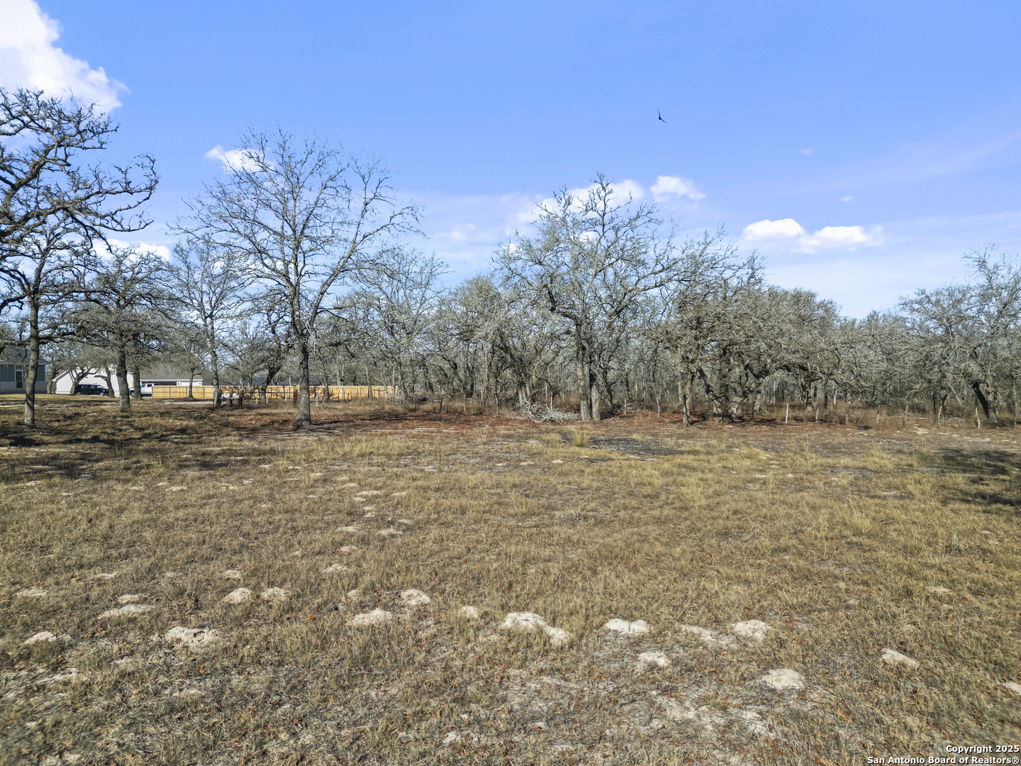 161 Hondo Ridge La Vernia, TX 78121 - Photo 7 of 9 a view of road and trees
