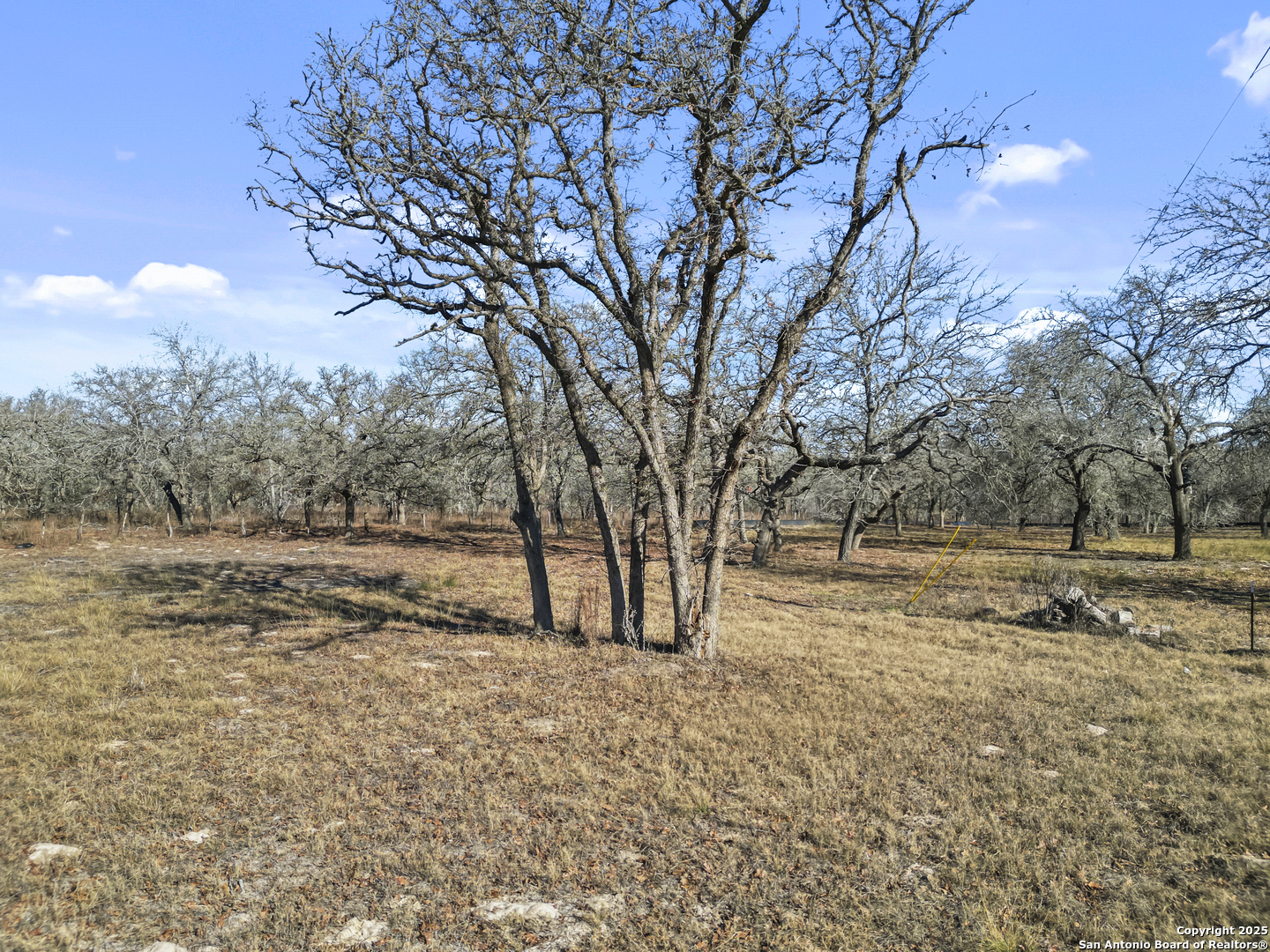 161 Hondo Ridge La Vernia, TX 78121 - Photo 8 of 9 a view of dirt yard with a large tree