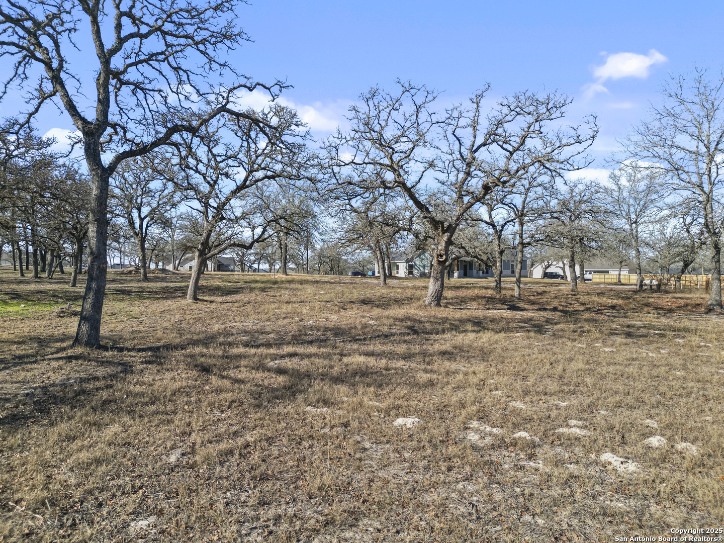161 Hondo Ridge La Vernia, TX 78121 - Photo 9 of 9 a view of outdoor space with yard and trees