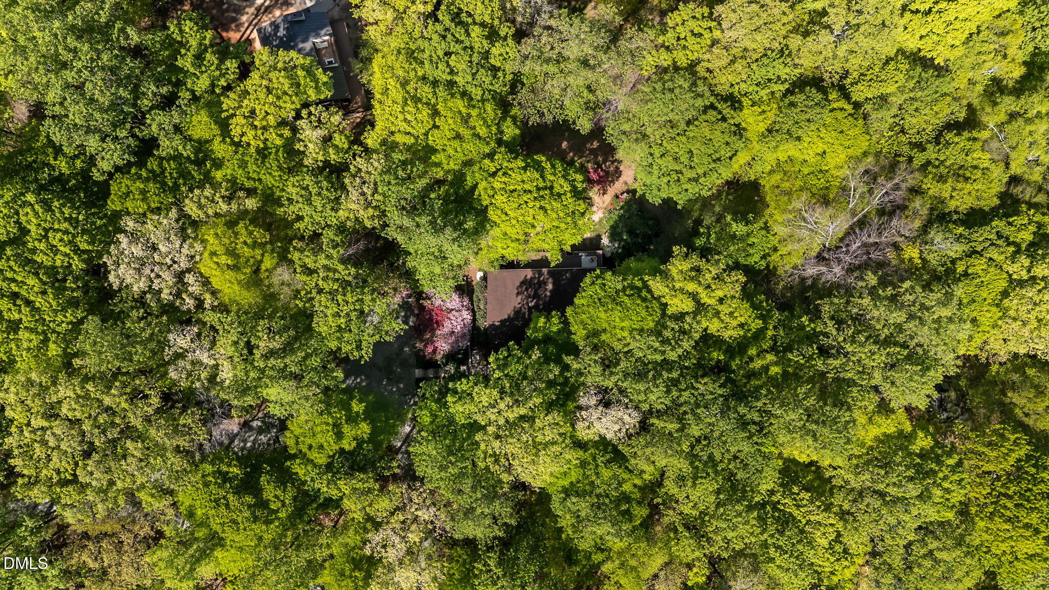 105 Barcliff Terrace Cary, NC 27518 - Photo 47 of 47 a view of a lush green forest
