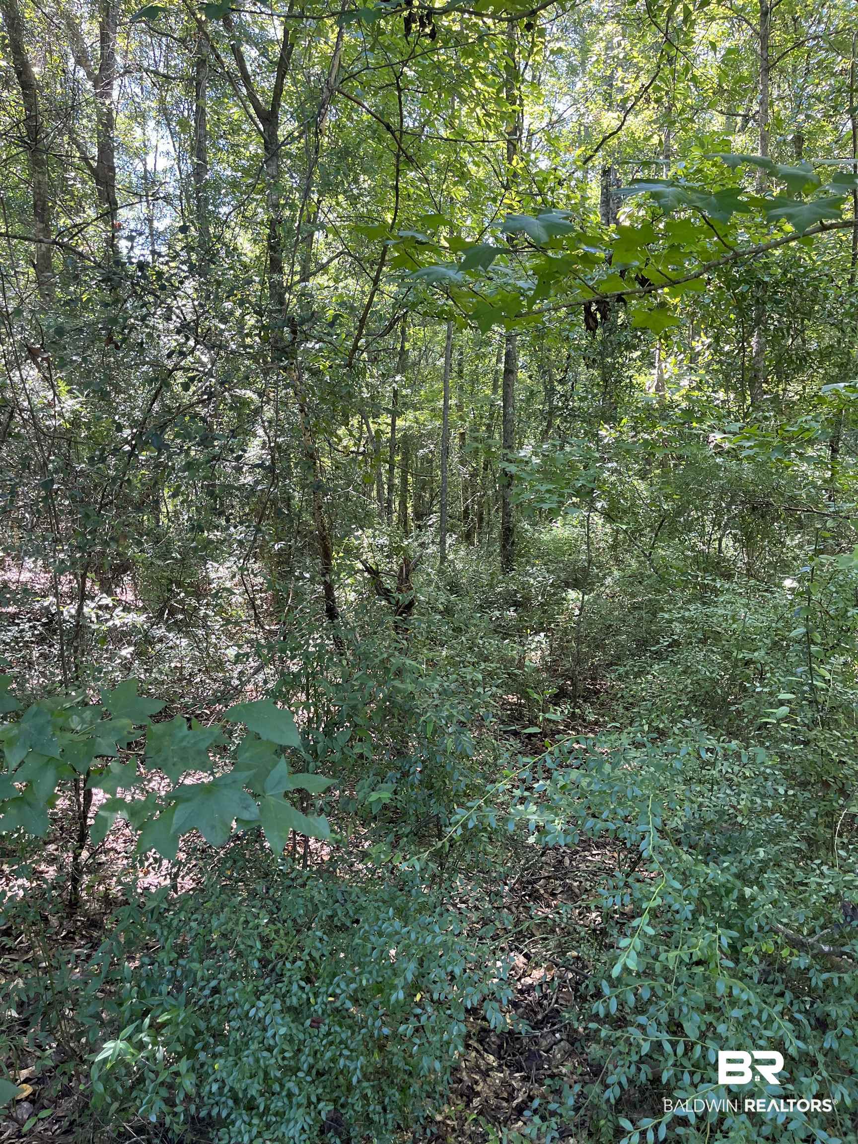 9068 Bryant's Lndg Road Stockton, AL 36579 - Photo 10 of 10 View of wooded area