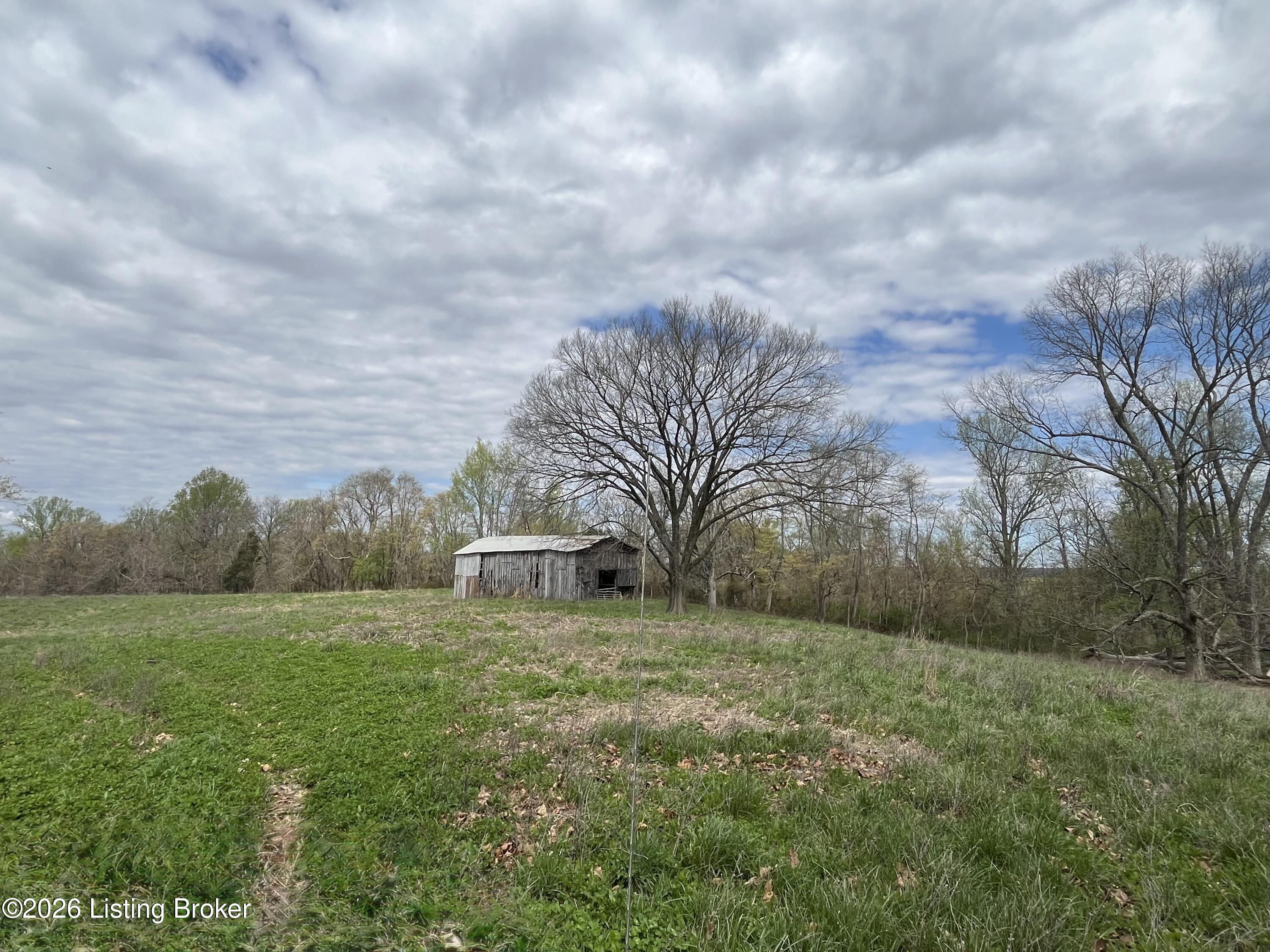 1568 Bray Ridge Road Bedford, KY 40006 - Photo 49 of 75 IMG_7237