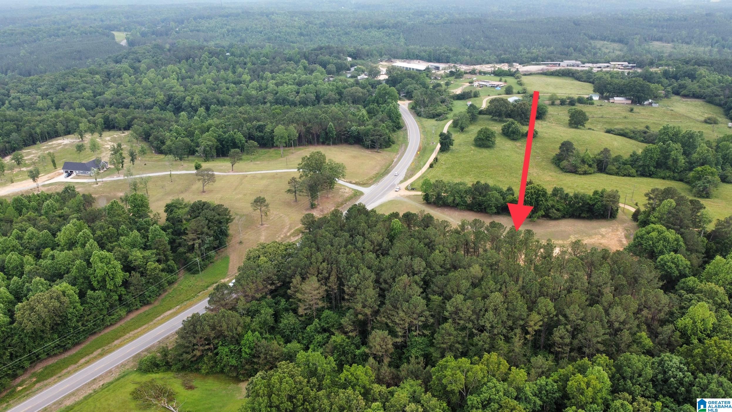 22909 Highway 195 Double Springs, AL 35553 - Photo 15 of 19