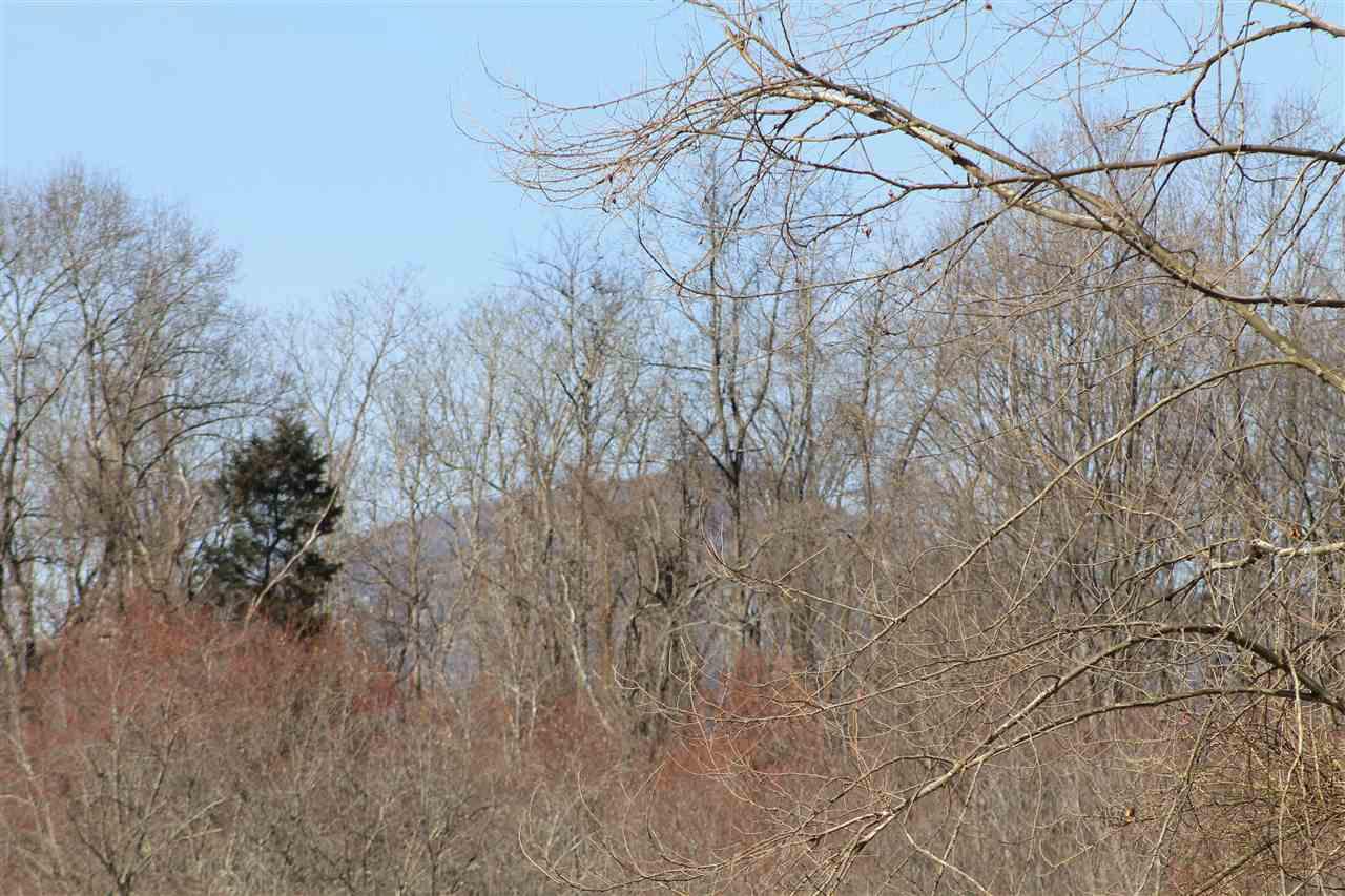 Slate Mills Rd Road Sperryville, VA 22740 - Photo 2 of 6 Gallery Image 2