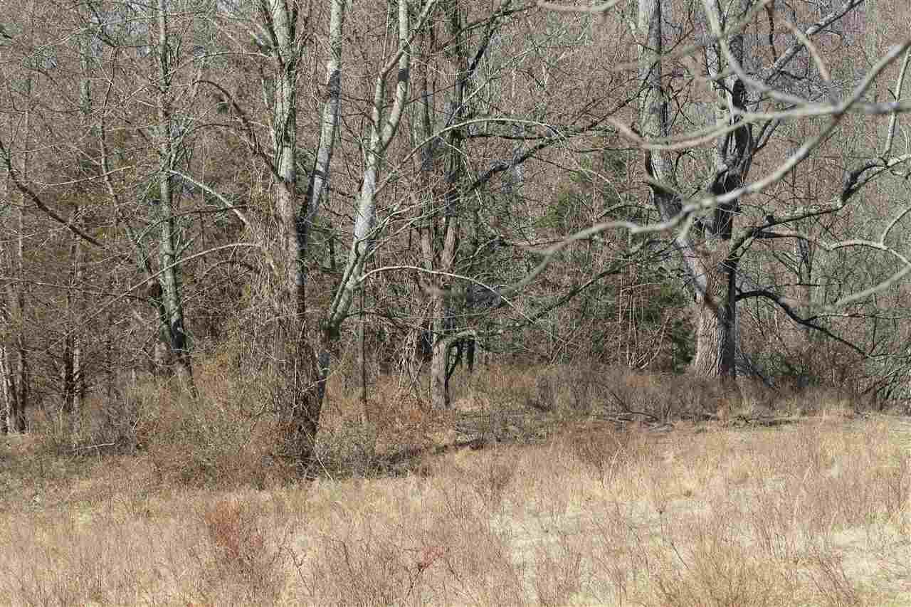 Slate Mills Rd Road Sperryville, VA 22740 - Photo 4 of 6 Gallery Image 4