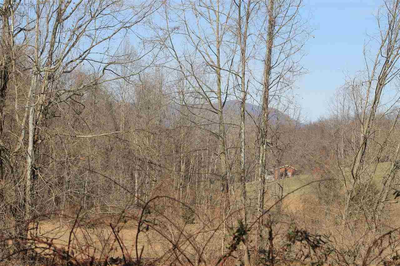 Slate Mills Rd Road Sperryville, VA 22740 - Photo 5 of 6 Gallery Image 5