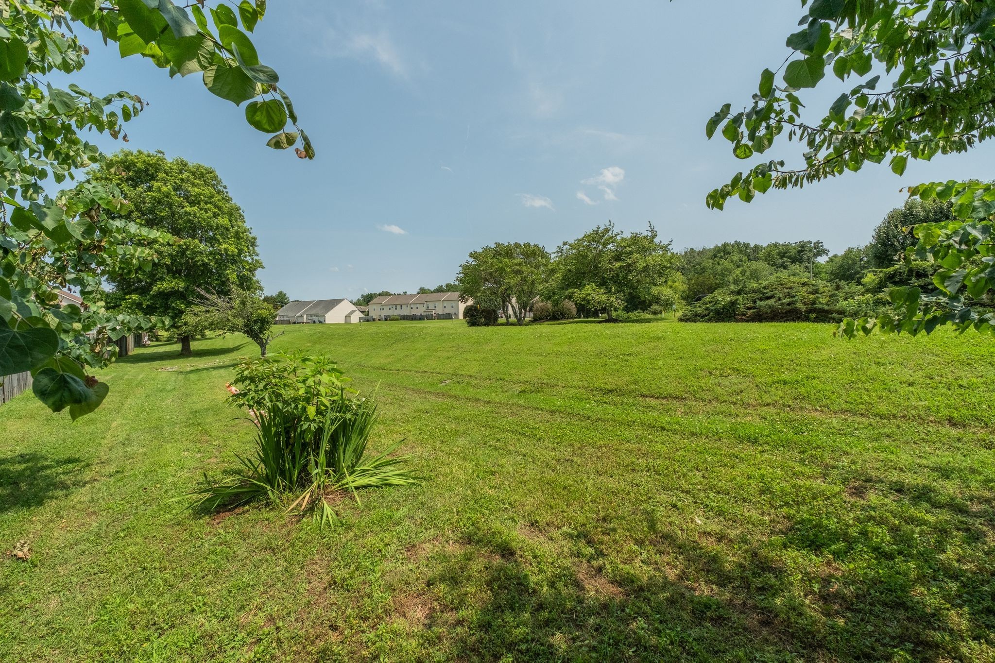 3405 Old Anderson Road, Unit 116 Antioch, TN 37013 - Photo 27 of 31 Green space beyond the back patio. Very private, quiet, and peaceful.