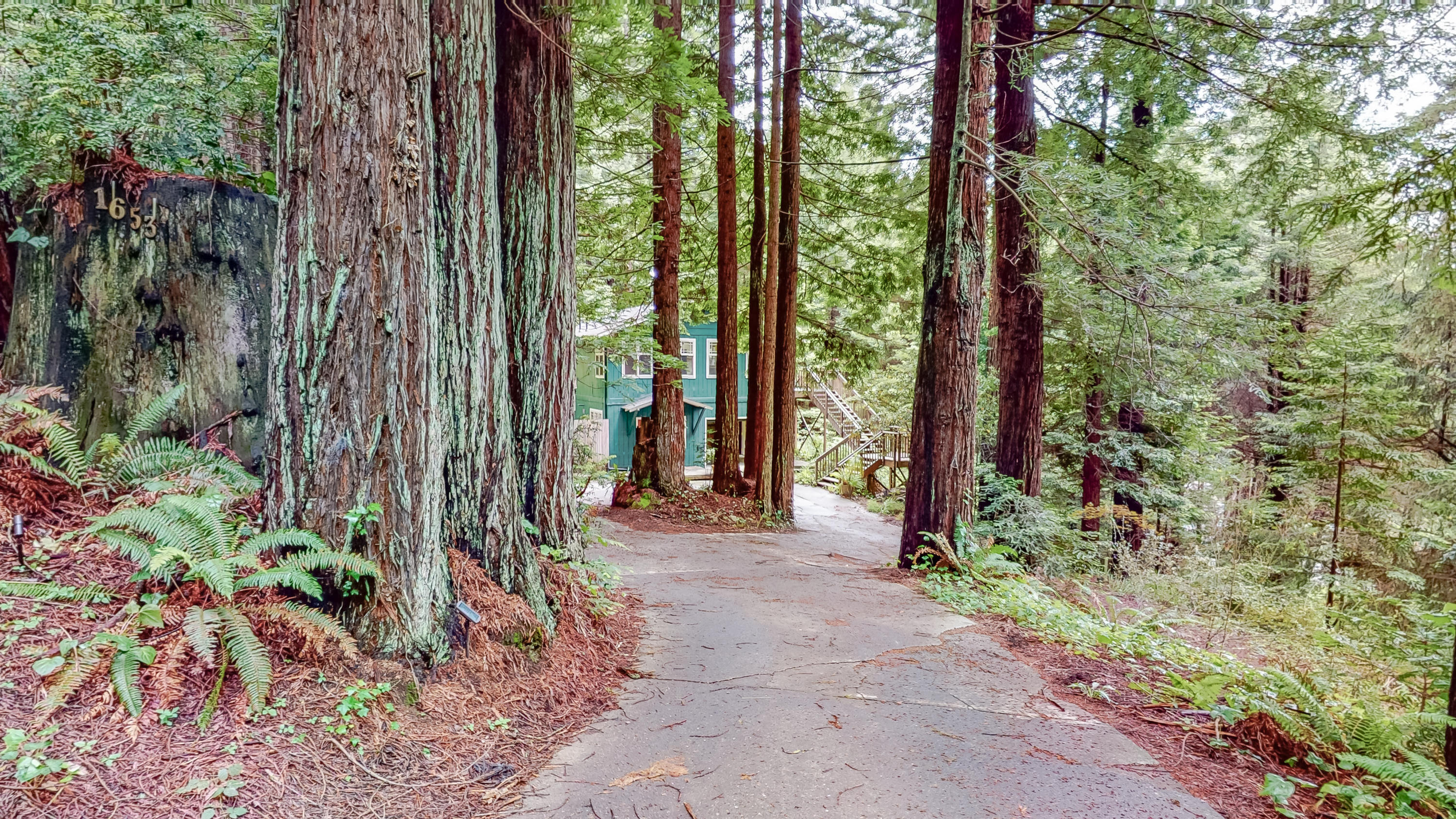 1651-1653 Panorama Drive Arcata, CA 95521 - Photo 2 of 54