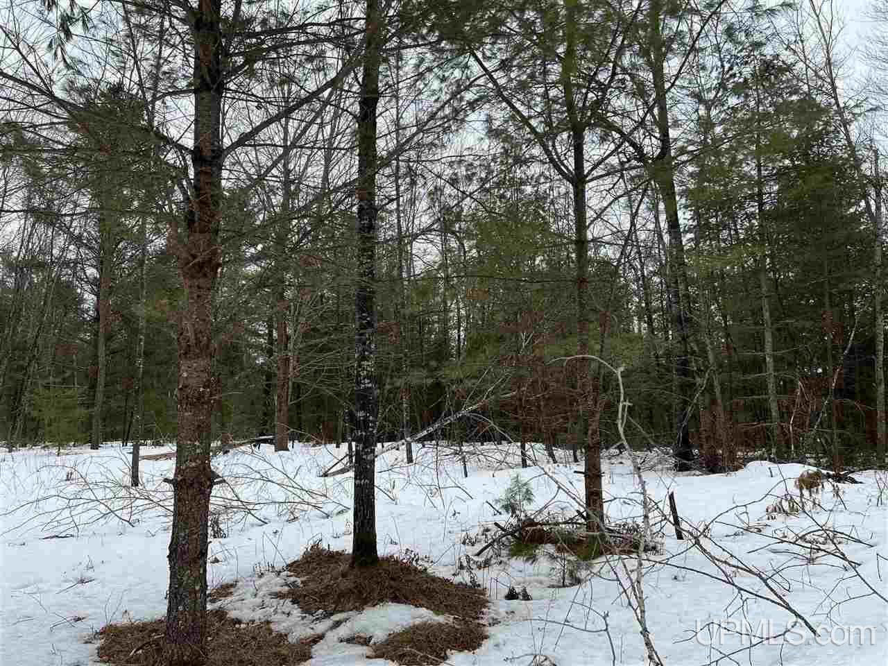 Tbd West Merriman Road, Unit 5 Iron Mountain, MI 49801 - Photo 3 of 3