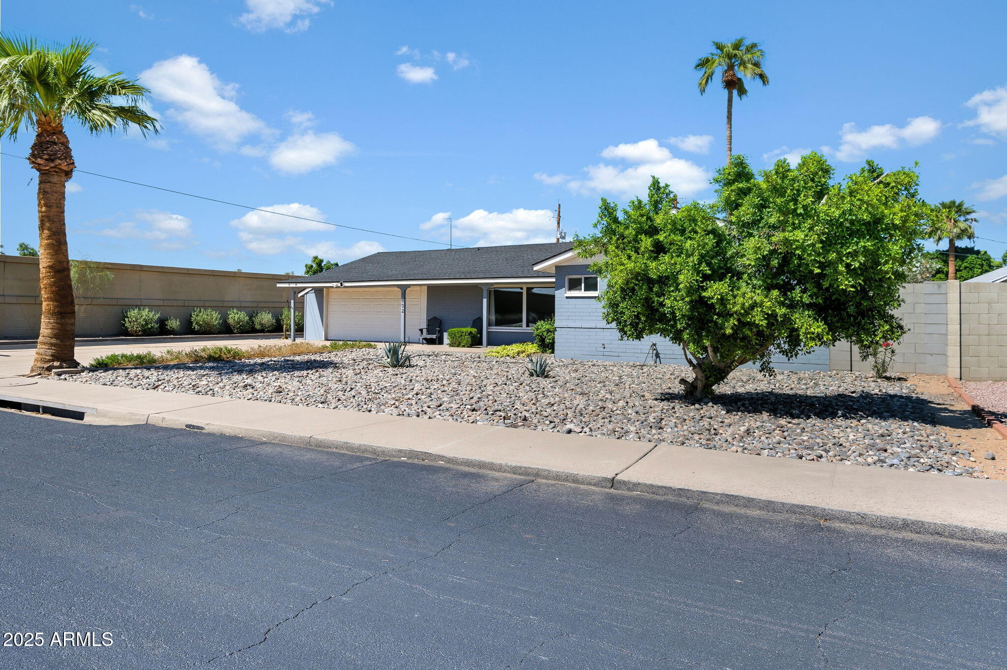 1802 East Meadowbrook Avenue Phoenix, AZ 85016 - Photo 26 of 28 a potted plant sitting in front of a building