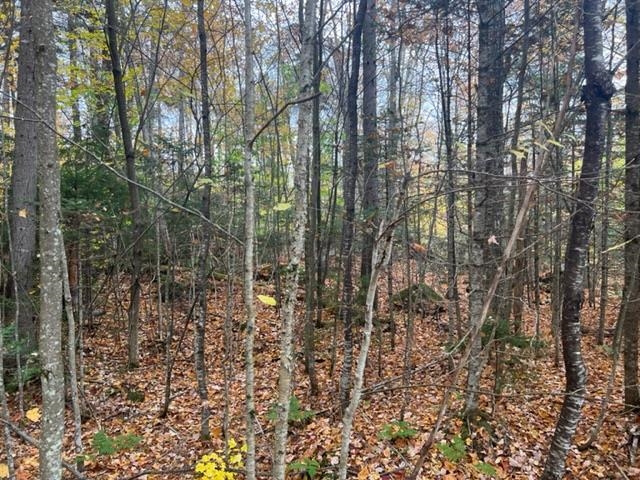 3175 State Forest Road Groton, VT 05046 - Photo 21 of 25 Gallery Image 21