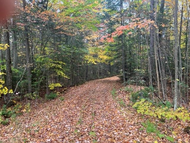 3175 State Forest Road Groton, VT 05046 - Photo 22 of 25 Gallery Image 22