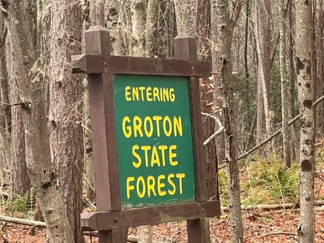 3175 State Forest Road Groton, VT 05046 - Photo 23 of 25 Gallery Image 23
