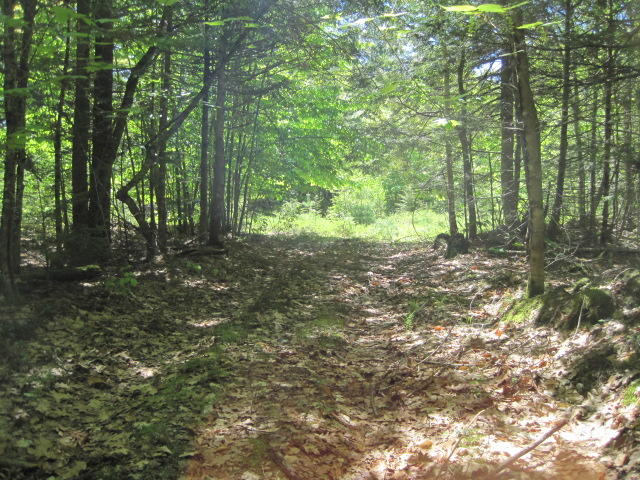 109 Bucksmills Road Bucksport, ME 04416 - Photo 6 of 8 IMG_0010