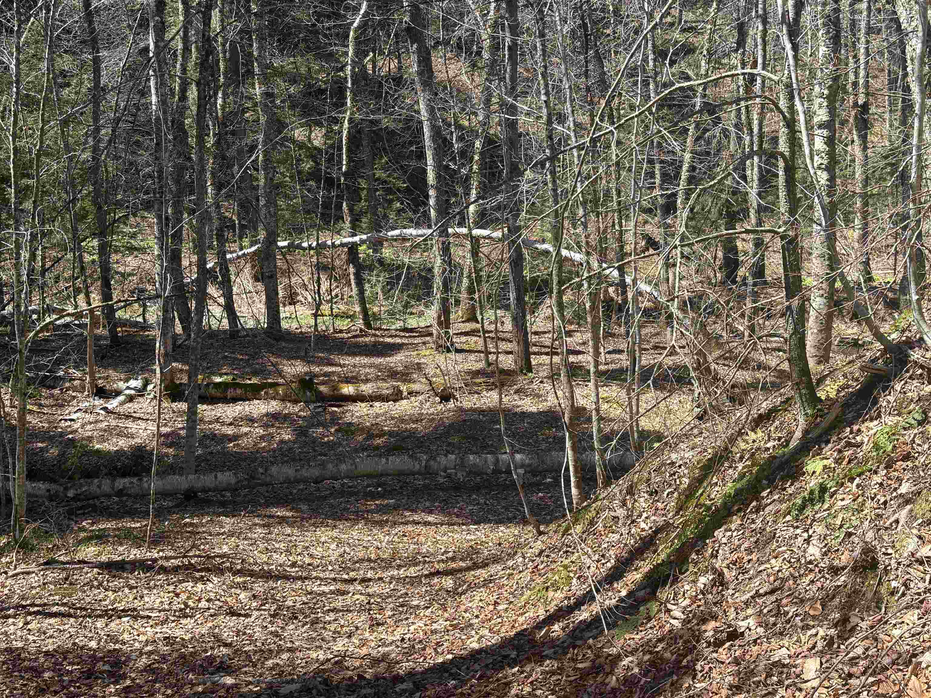 2451 Camp Brook Road Bethel, VT 05032 - Photo 12 of 60 Gallery Image 12