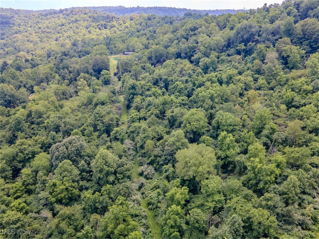 0 Mill St Road Quaker City, OH 43773 - Photo 21 of 23 View of property location with a heavily wooded area