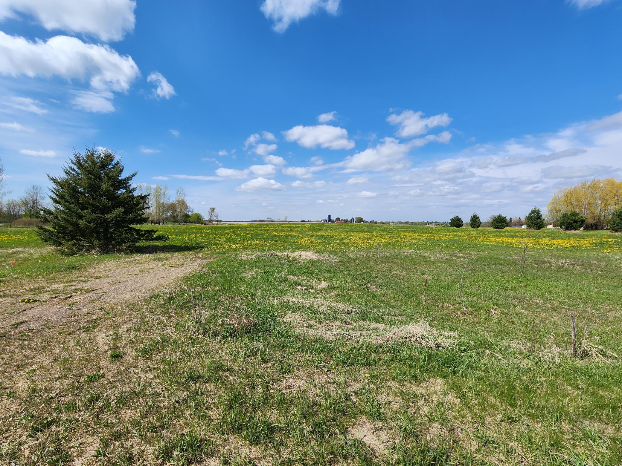 7160 149th Street Milaca, MN 56353 - Photo 5 of 24