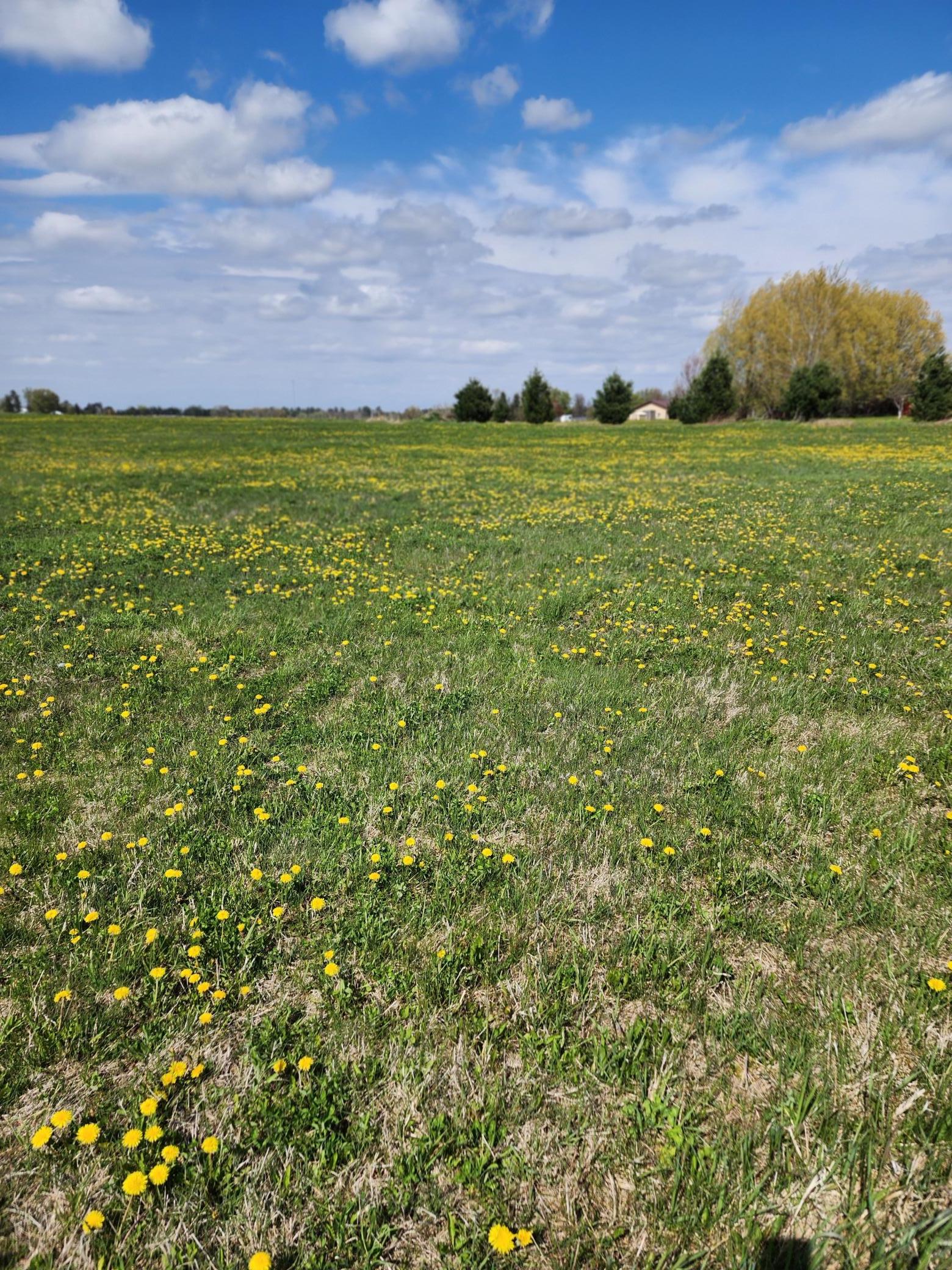 7160 149th Street Milaca, MN 56353 - Photo 8 of 24