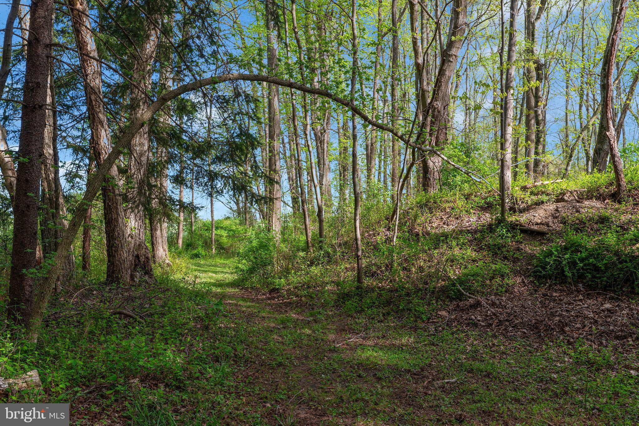 1120 Smithville Road Mount Holly, NJ 08060 - Photo 58 of 93 Area for walking trails