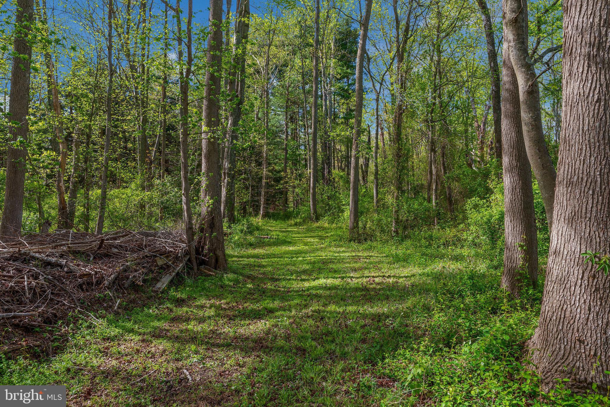 1120 Smithville Road Mount Holly, NJ 08060 - Photo 59 of 93 Walking trail