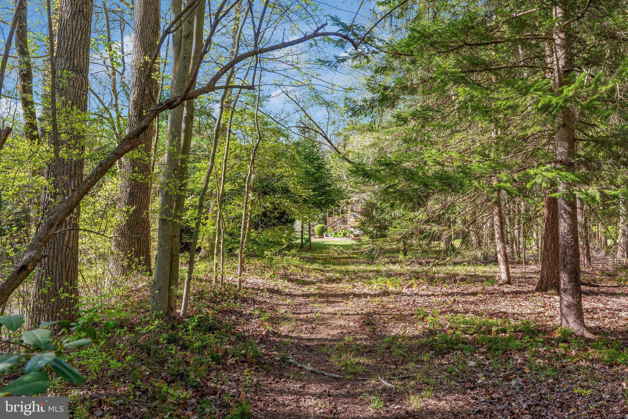 1120 Smithville Road Mount Holly, NJ 08060 - Photo 61 of 93 View of home from walking trail