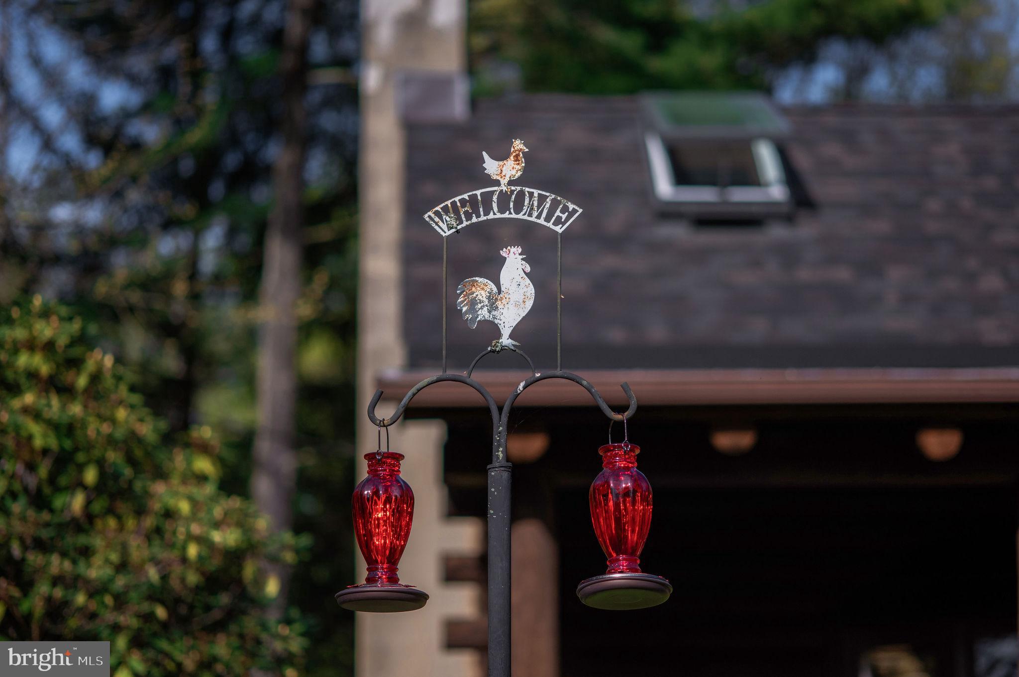 1120 Smithville Road Mount Holly, NJ 08060 - Photo 66 of 93 Hummingbird feeders