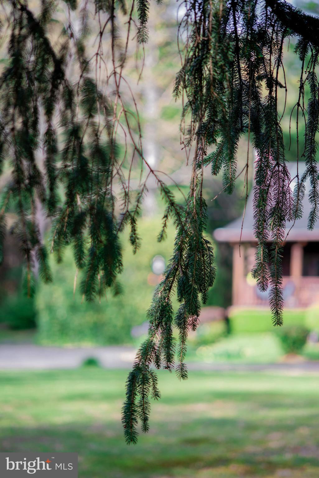 1120 Smithville Road Mount Holly, NJ 08060 - Photo 67 of 93 View of home through pine trees