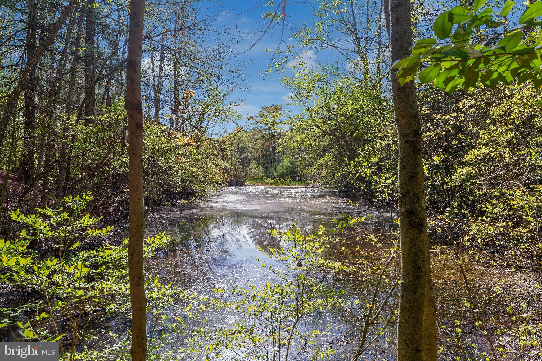 1120 Smithville Road Mount Holly, NJ 08060 - Photo 69 of 93 Large pond