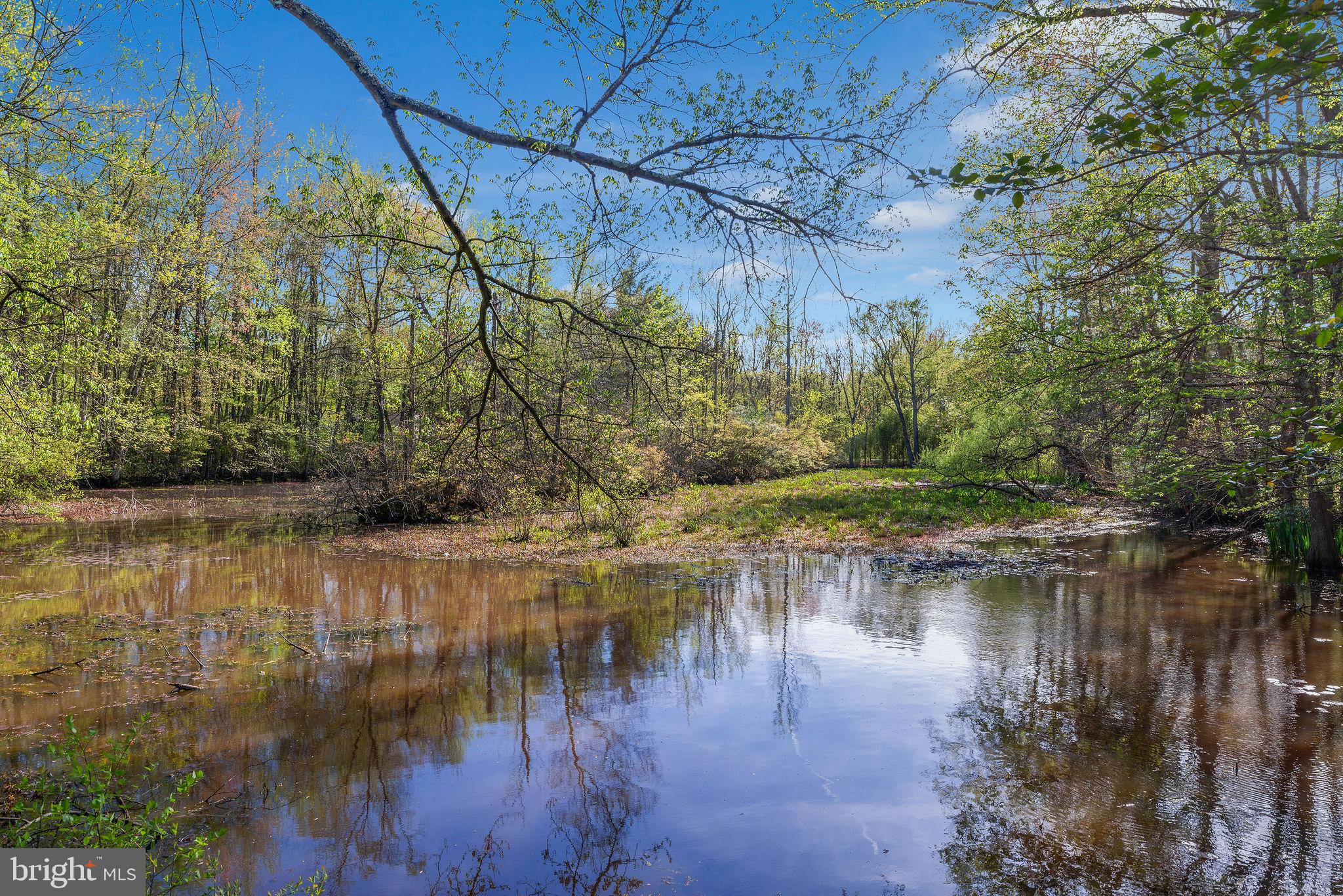 1120 Smithville Road Mount Holly, NJ 08060 - Photo 70 of 93 Large pond with island