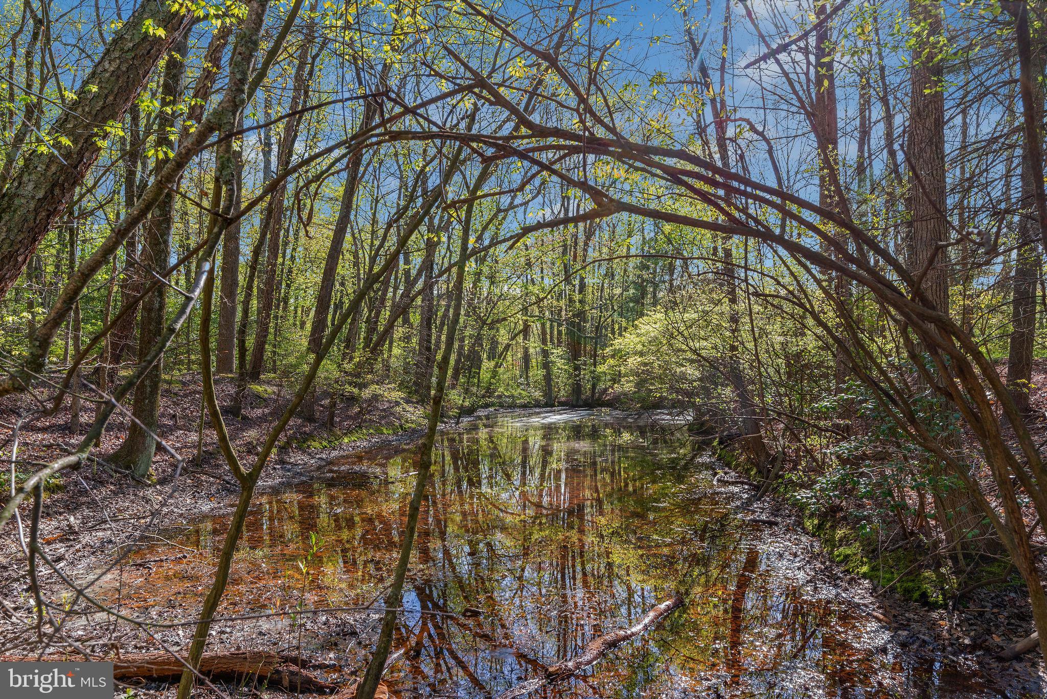 1120 Smithville Road Mount Holly, NJ 08060 - Photo 73 of 93 Side of small pond