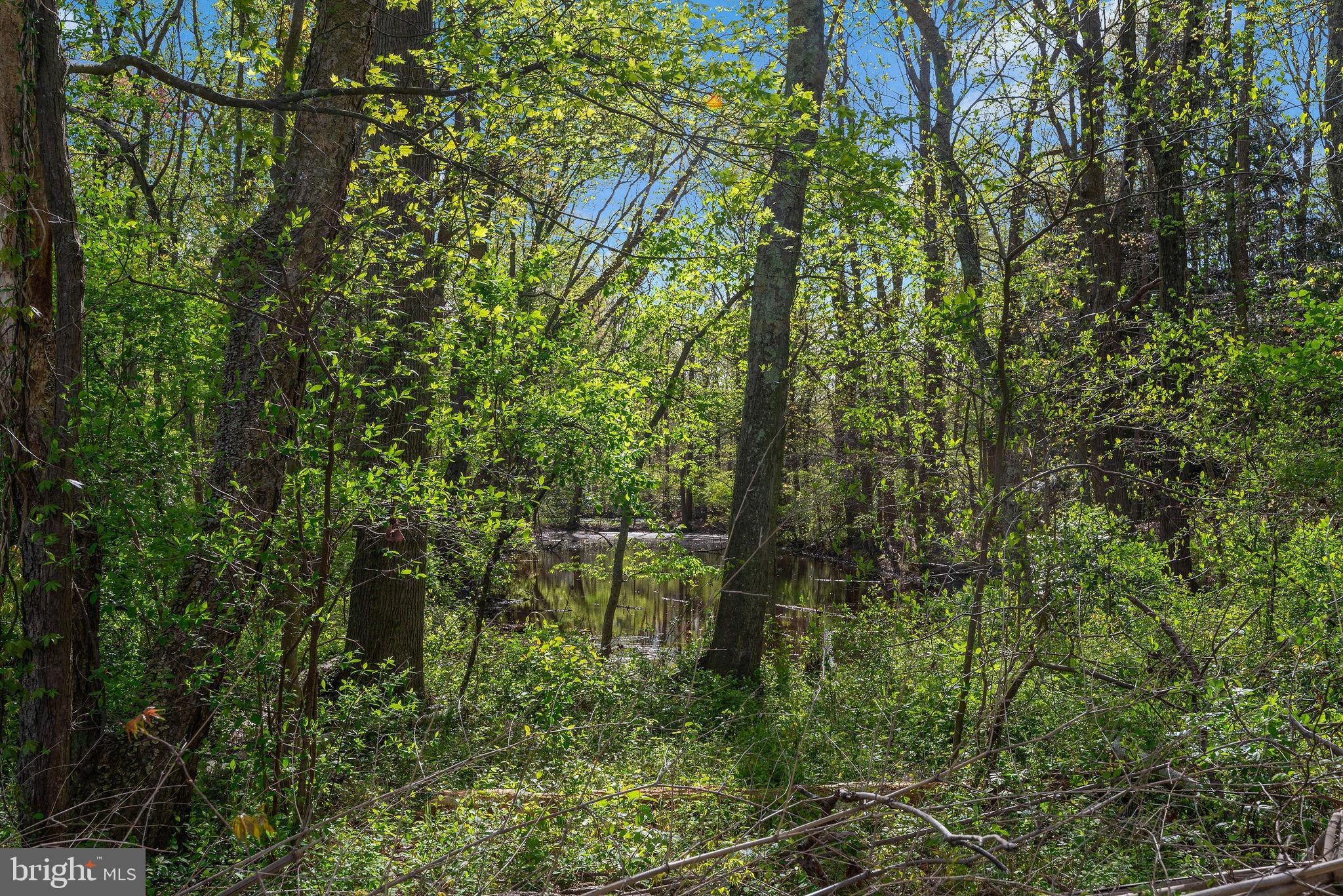 1120 Smithville Road Mount Holly, NJ 08060 - Photo 77 of 93 Exploration area