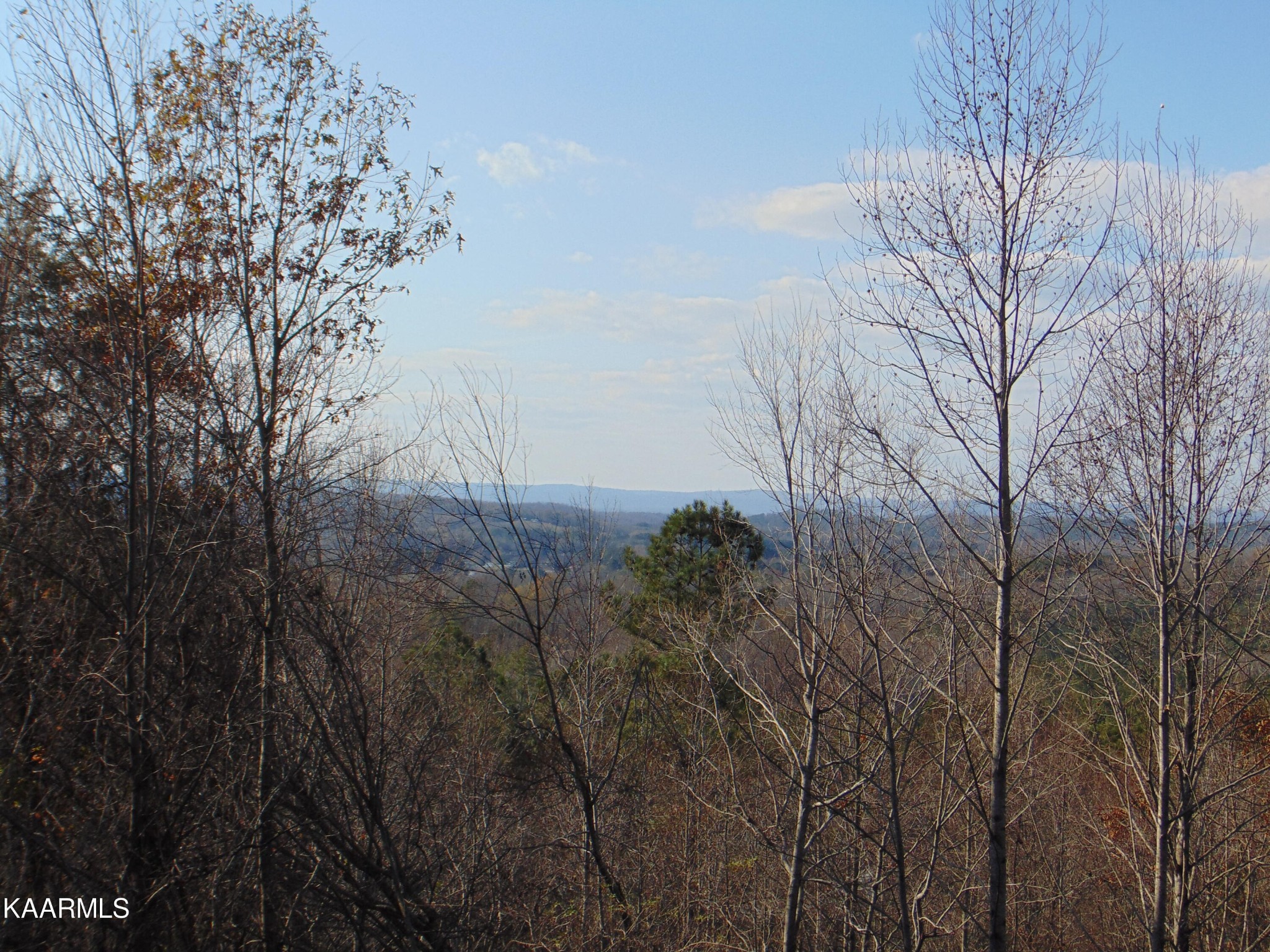 738 Lamontville Road Decatur, TN 37322 - Photo 59 of 60
