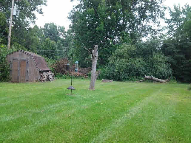 3877 Douglas Road Ida, MI 48140 - Photo 17 of 18 Yard View 2